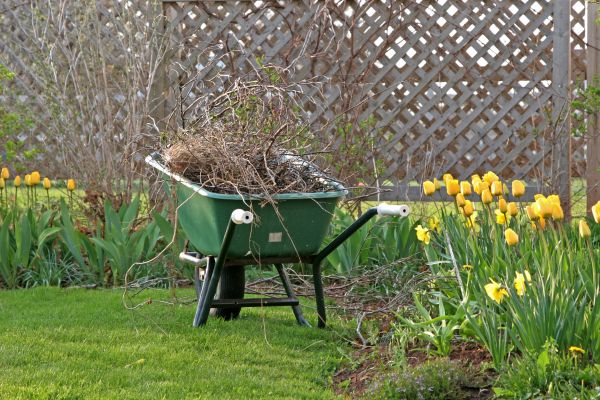 Flower Bed Cleanup Service in Morgan Hill