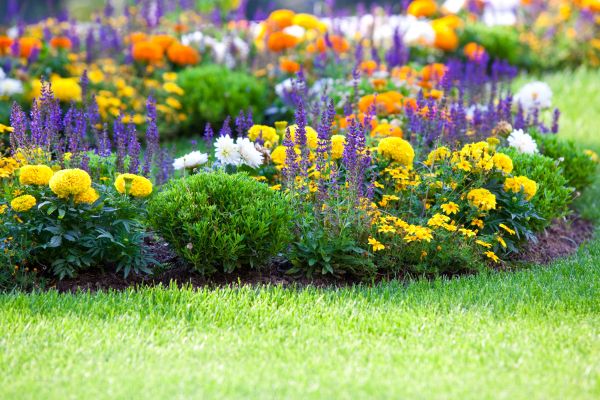 Flower Bed Maintenance in Morgan Hill