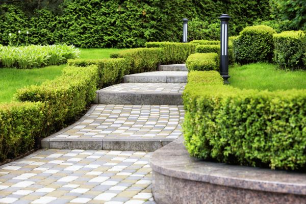 Backyard Remodeling in Morgan Hill