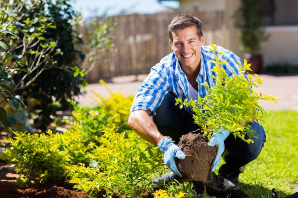 Bush Planting Service in Morgan Hill