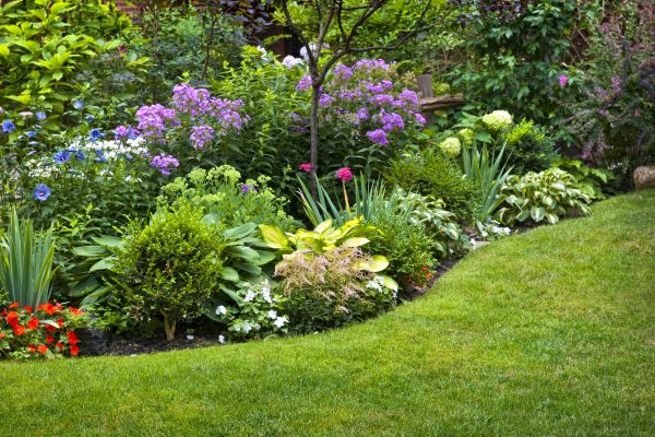 Flower Bed Service in Morgan Hill