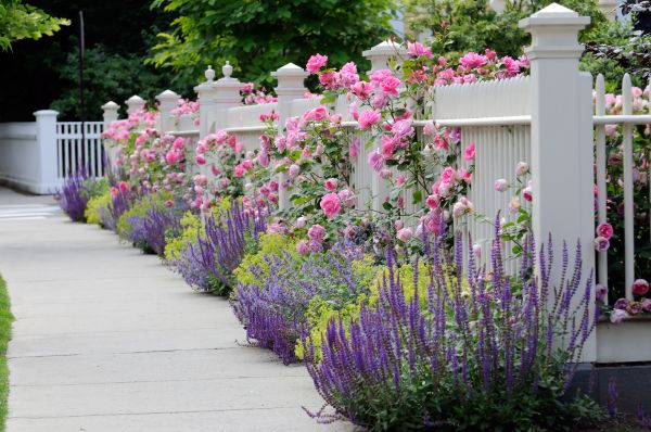Garden Handyman Service in Morgan Hill