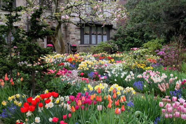 Garden Maintenance Service in Morgan Hill