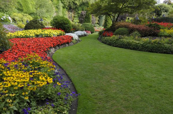 Landscaping Maintenance in Morgan Hill