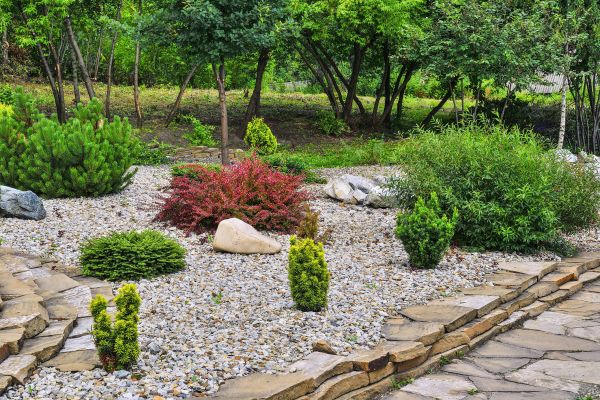 Rock Landscaping in Morgan Hill