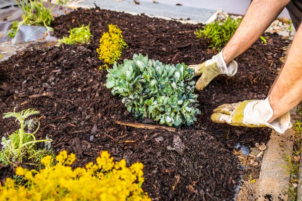 Weeding And Mulching in Morgan Hill