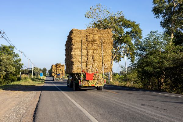 Pine Straw Delivery in Morgan Hill