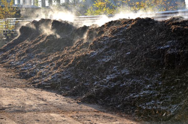 Compost Supplier Service