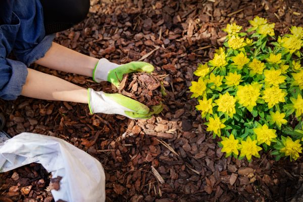 Garden Mulching in Morgan Hill