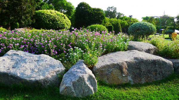 Boulder Landscaping Service