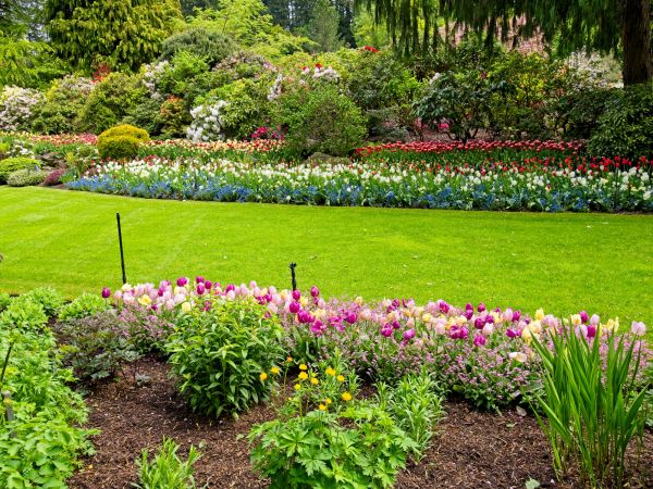 Residential Landscape Design in Morgan Hill