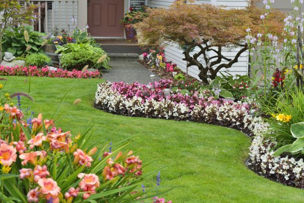 Perennial Landscaping in Morgan Hill