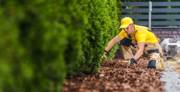 Cypress Mulch Installation in Morgan Hill