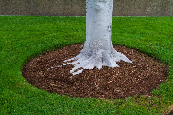 Brown Mulch Installation in Morgan Hill