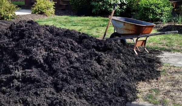 Black Mulch Installation in Morgan Hill