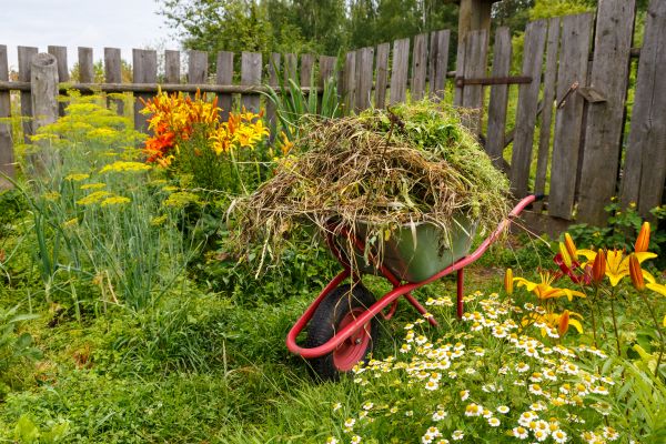 Garden Cleanup Service in Morgan Hill