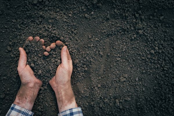 Soil Installation in Morgan Hill