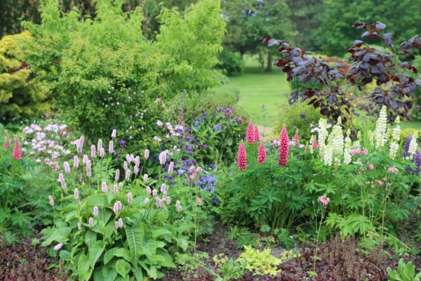Flower Bed Planting in Morgan Hill