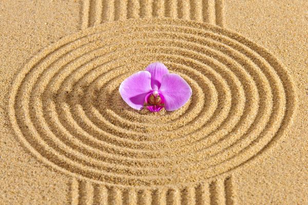 Sand Garden Landscaping in Morgan Hill