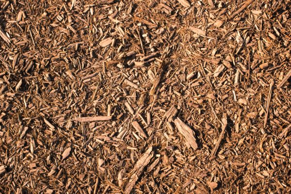 Wood Chips Removal in Morgan Hill