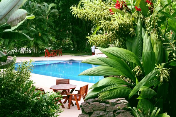 Pool Area Landscaping in Morgan Hill