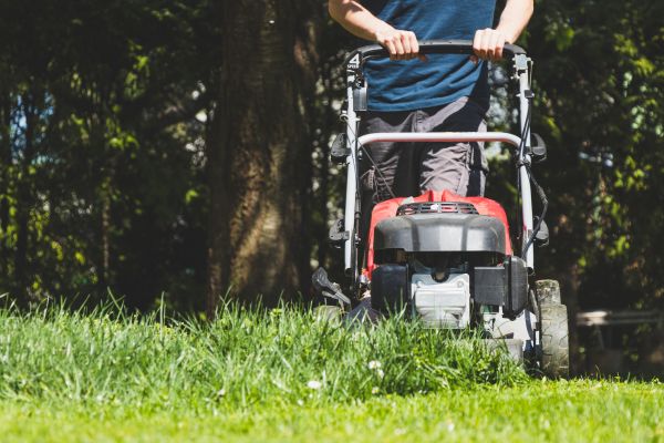 Garden Trimming Service in Morgan Hill