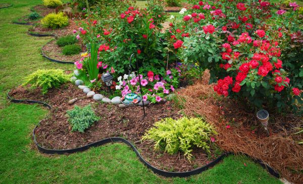 Floral Landscaping in Morgan Hill
