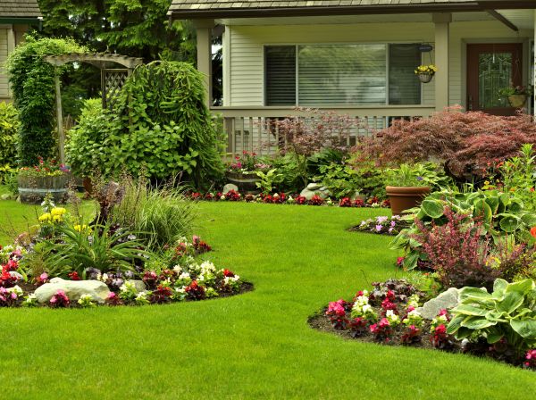 Flower Garden Planting in Morgan Hill