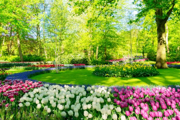 Flower Landscaping in Morgan Hill