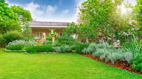 Greenery Planting in Morgan Hill