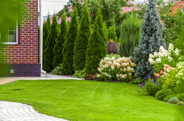 Spring Landscaping in Morgan Hill