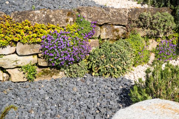 Landscaping Rocks Installation in Morgan Hill