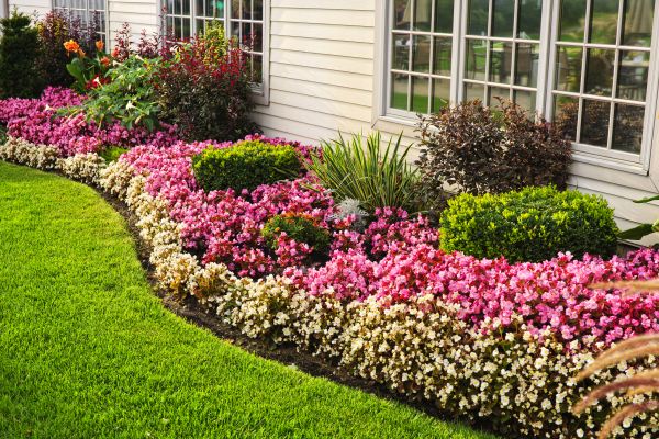 Garden Landscape Design in Morgan Hill