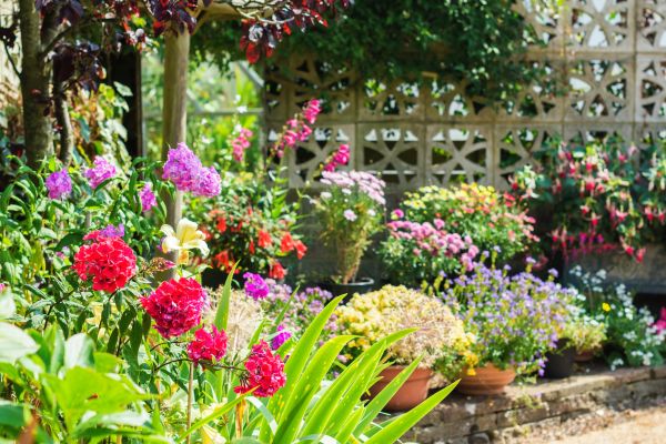 Spring Garden Maintenance in Morgan Hill