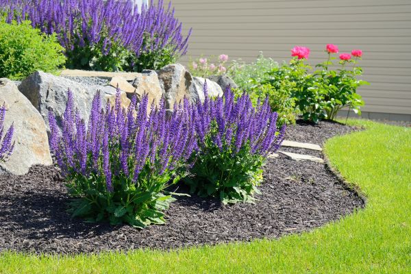 Landscape Planting Service in Morgan Hill
