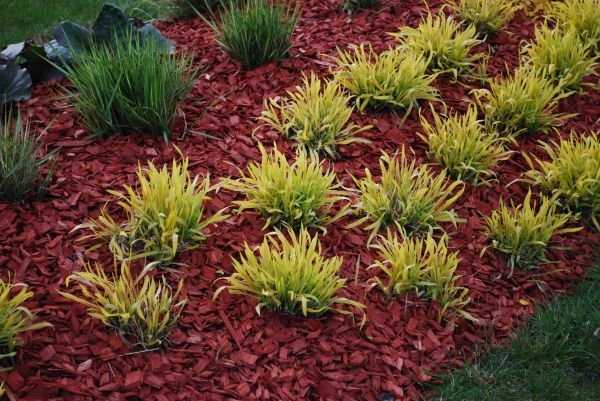 Red Mulch Installation in Morgan Hill