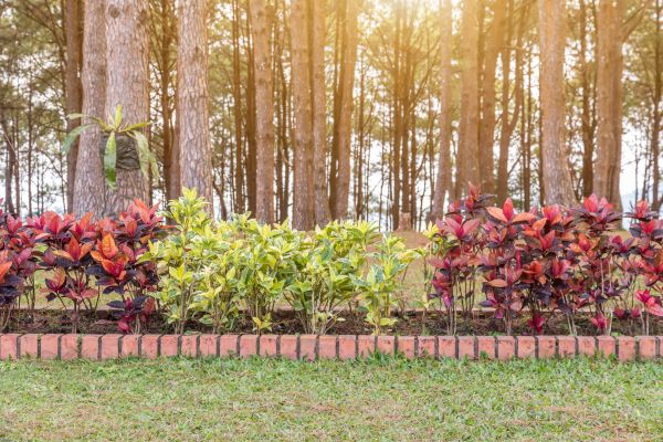 Small Garden Landscaping in Morgan Hill