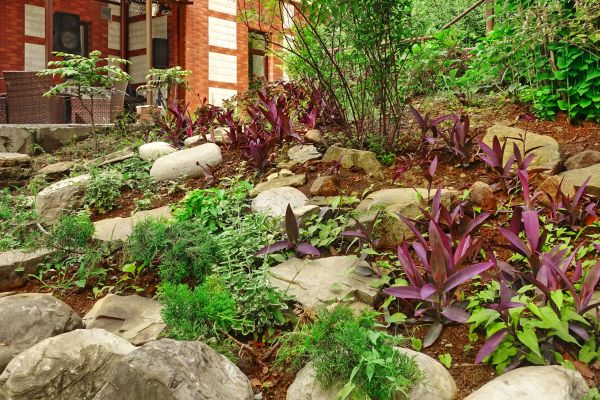 Rock Garden Landscaping in Morgan Hill