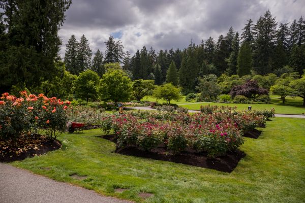 Flower Garden Landscaping in Morgan Hill