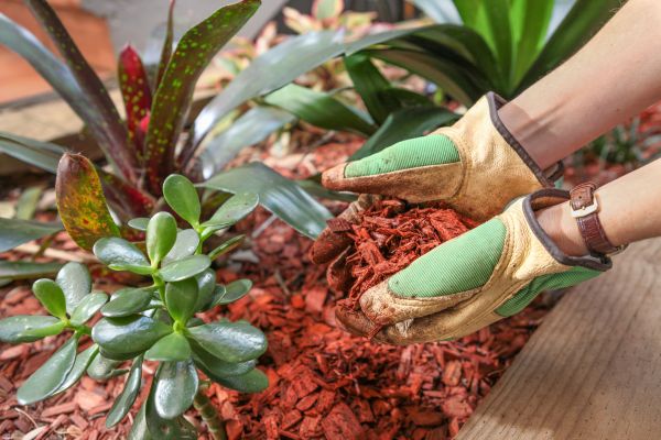 Cedar Mulch Installation in Morgan Hill