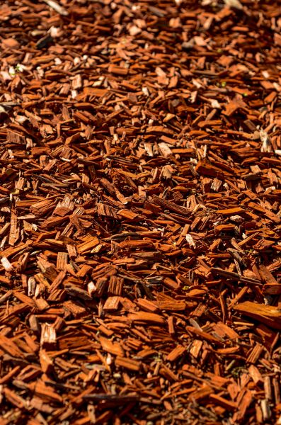 Cedar Mulch Spreading in Morgan Hill