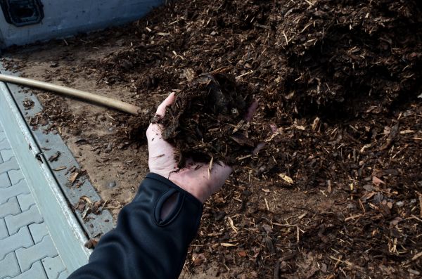 Condo Mulching in Morgan Hill