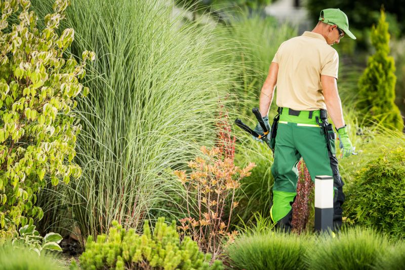 Experienced Landscape Contractors